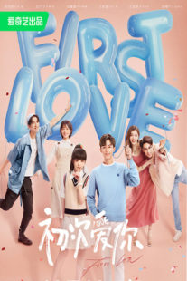 ดูซีรี่ย์ วุ่นนัก โจทย์รักแรก First Love (2022) EP.1-24 จบ พากย์ไทย