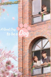ดูซีรี่ย์ A Good Day To Be A Dog EP.1-14 (จบ) ซับไทย (2023)