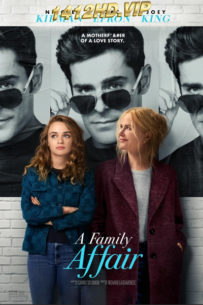 ดูหนัง เรื่อง (รัก) ในครอบครัว A Family Affair (2024) พากย์ไทย Netflix