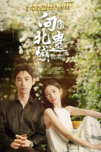 ดูซีรี่ย์ Xiangbei Regret เกสต์เฮาส์เยียวยารัก (2024) ซับไทย EP.1-20 (จบ)