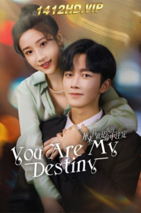 ดูซีรี่ย์ เธอคือพรหมลิขิตของฉัน You Are My Destiny (2024) EP.1-24 (จบ) ซับไทย