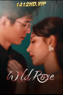 ดูซีรี่ย์ ทวงแค้นได้รัก (2025) Wild Rose ซับไทย 24 ตอนจบ